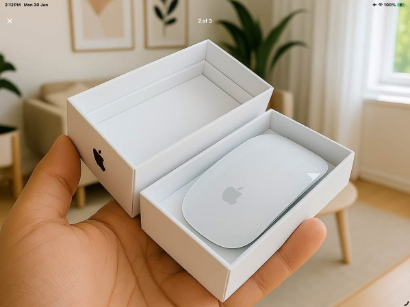 Apple magic mouse 2 - 1