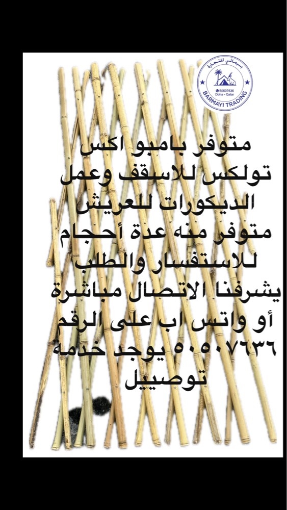Bamboo X - 2