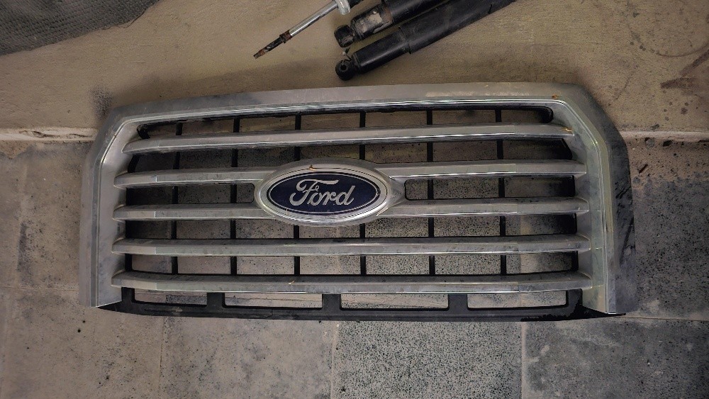 F150 Grill and shock absorbers - 1