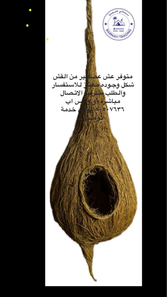 Bird house available. - 2