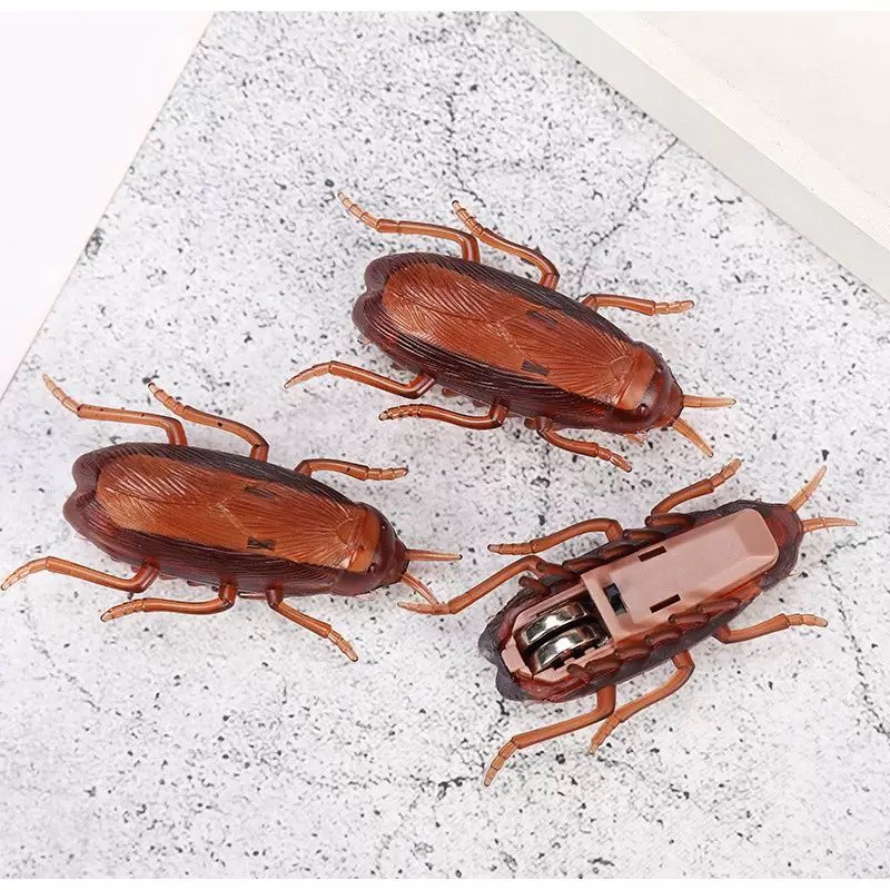 Electric Crawling Cockroach - 3