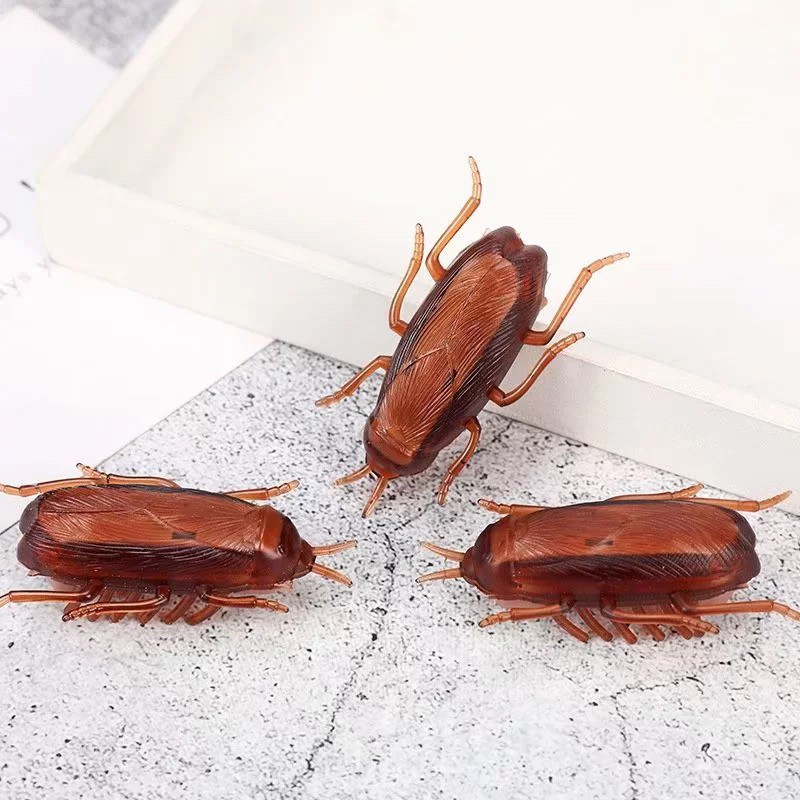 Electric Crawling Cockroach - 5