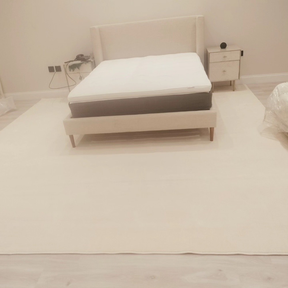 carpet and curtain sofa - 13