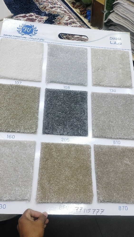 carpet and curtain sofa - 2