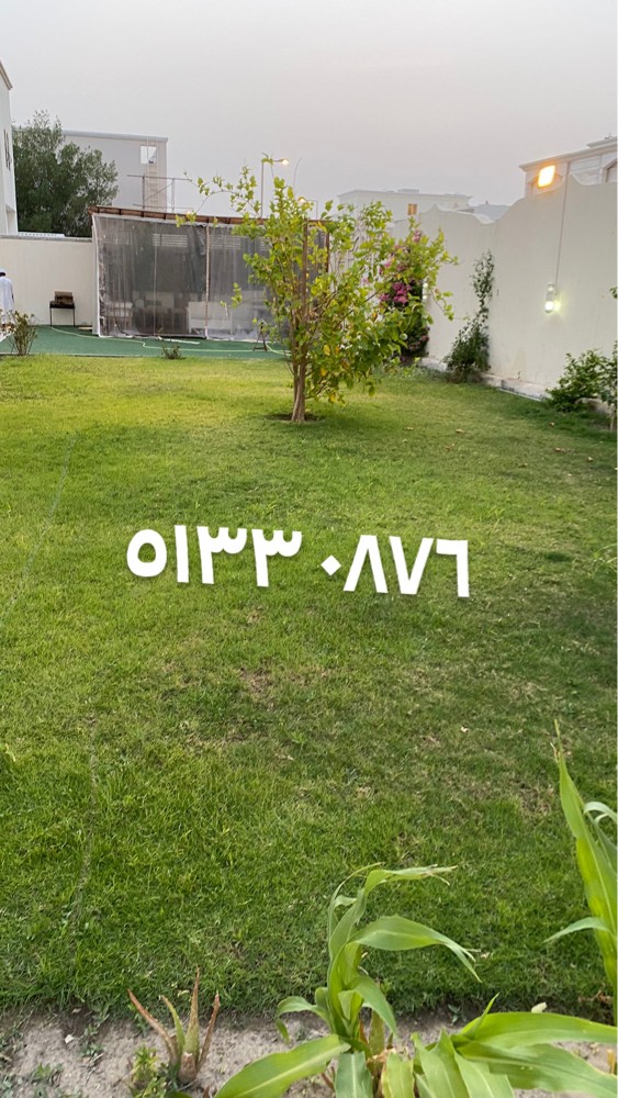 محمد - 4