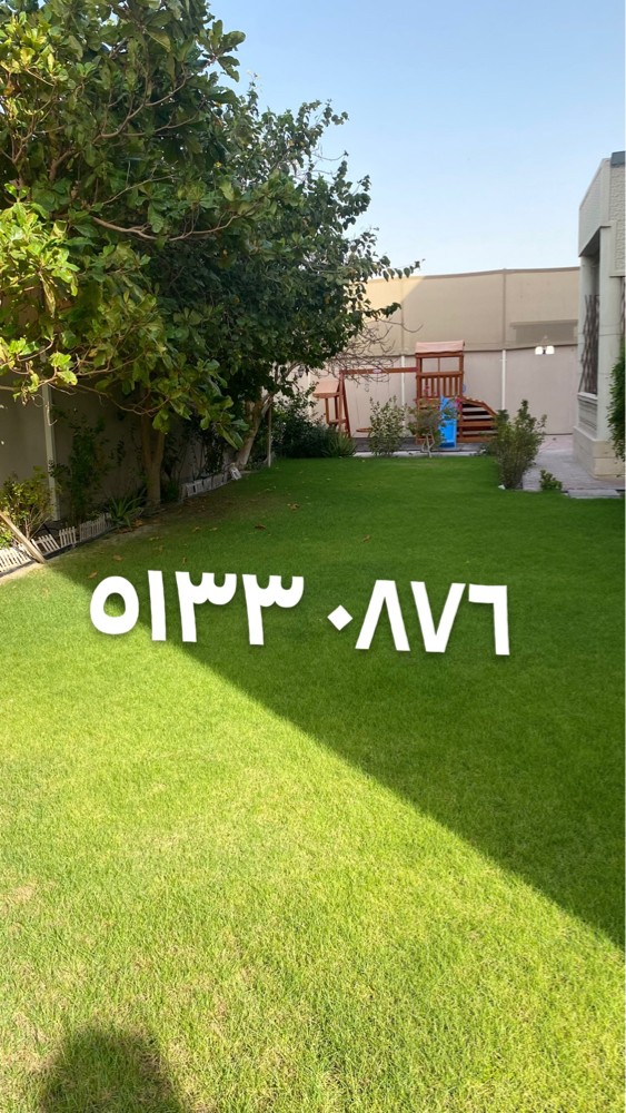 محمد - 3