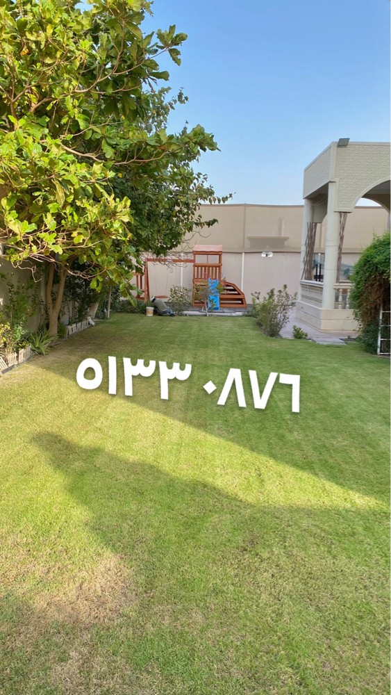 محمد - 2