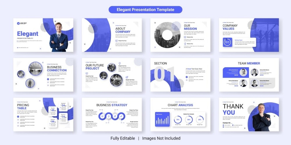 Pro Animated Presentation - 9