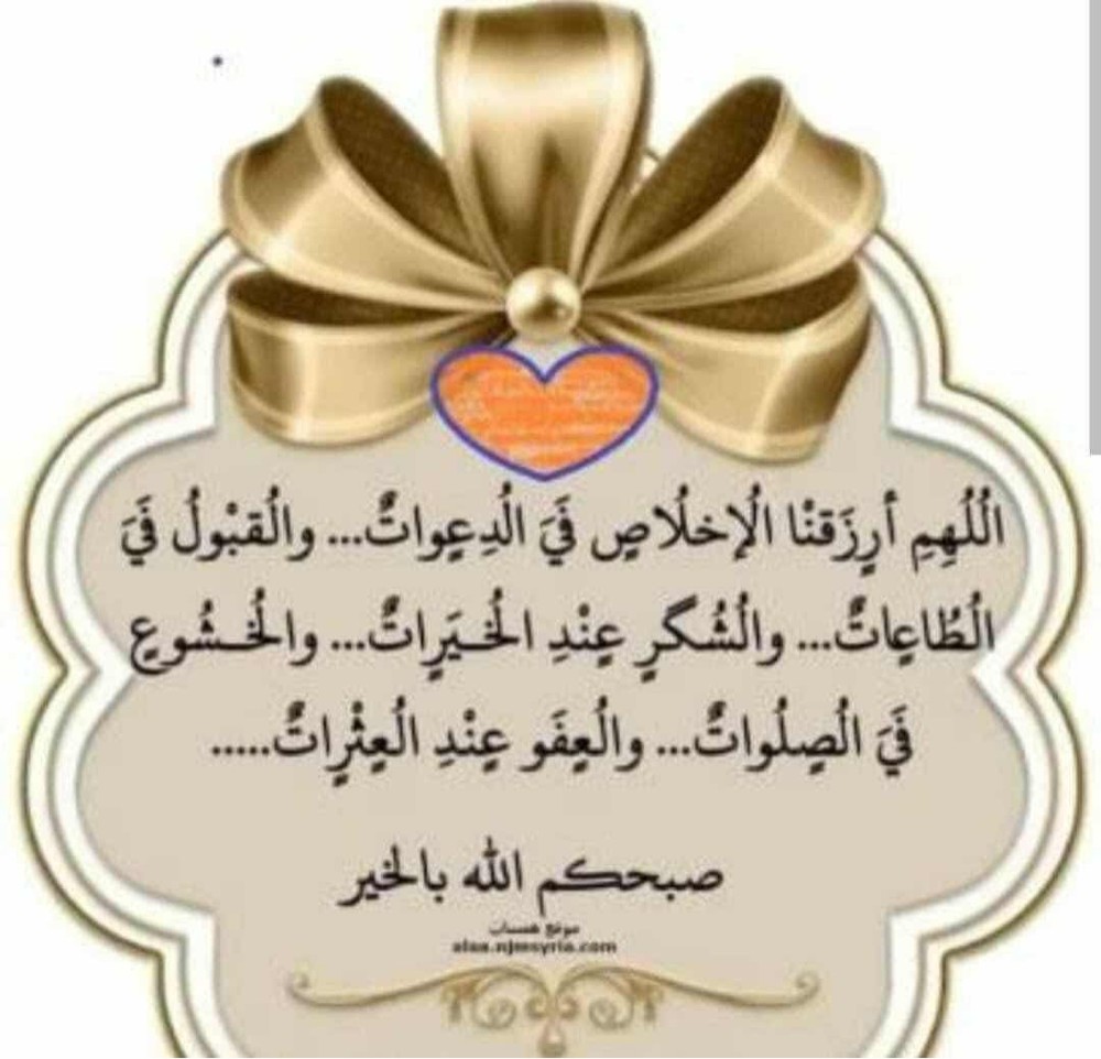 سايق ومندوب شخصي - 1