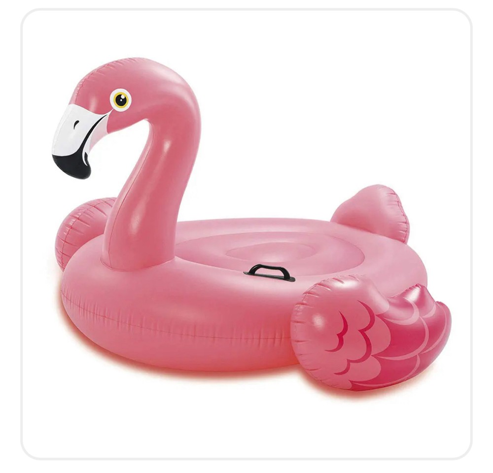 swimming flamingo - 1