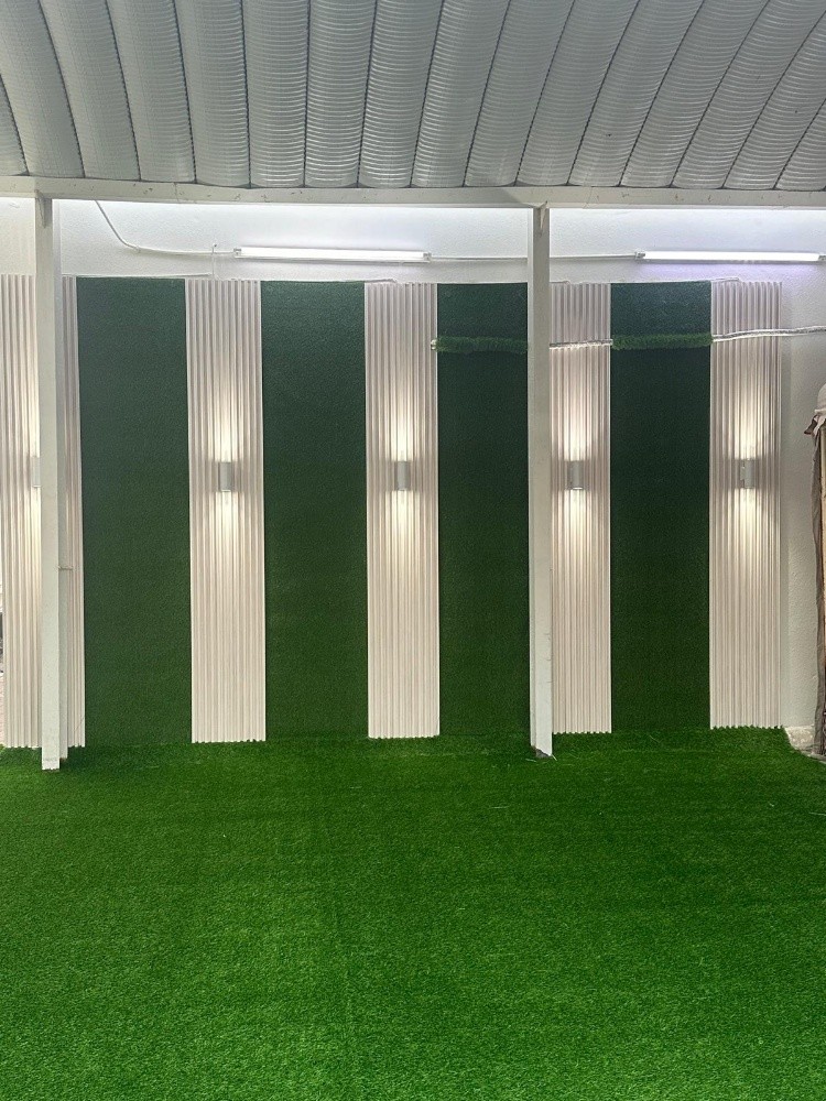 artificial grass - 1