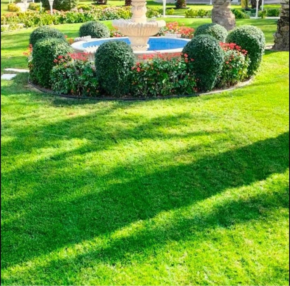 مزارع - 5