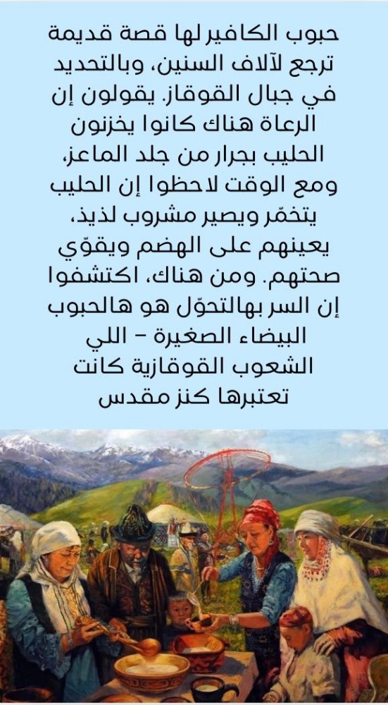 كافير - 4