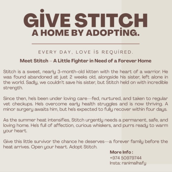 Adopt Stitch - 2