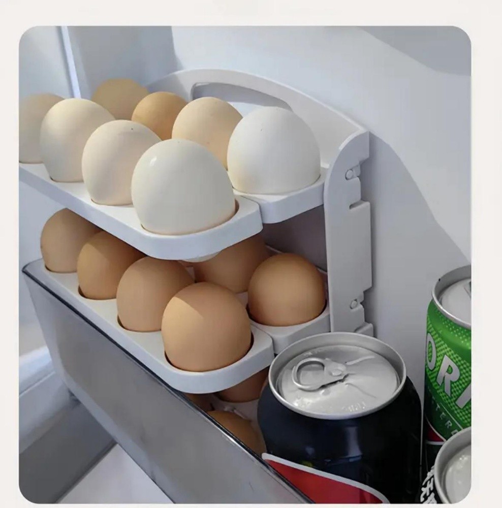 Folding Egg box - 5