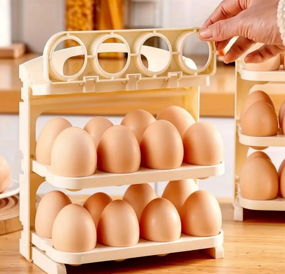 Folding Egg box - 2