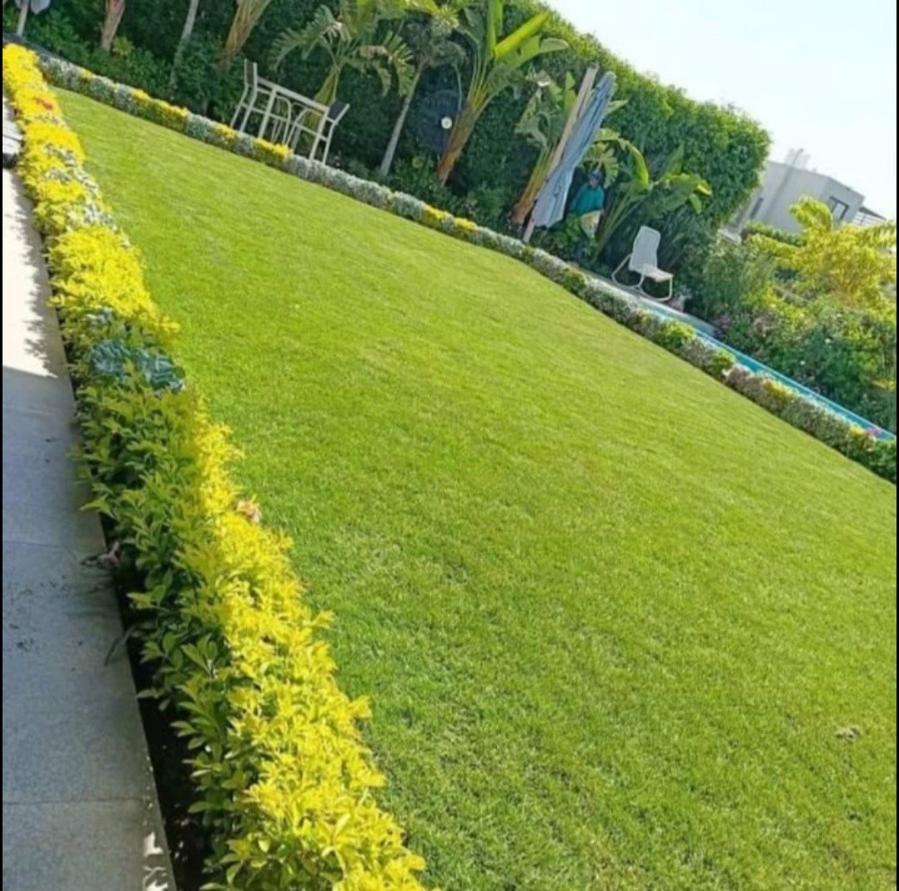 المزارع - 2