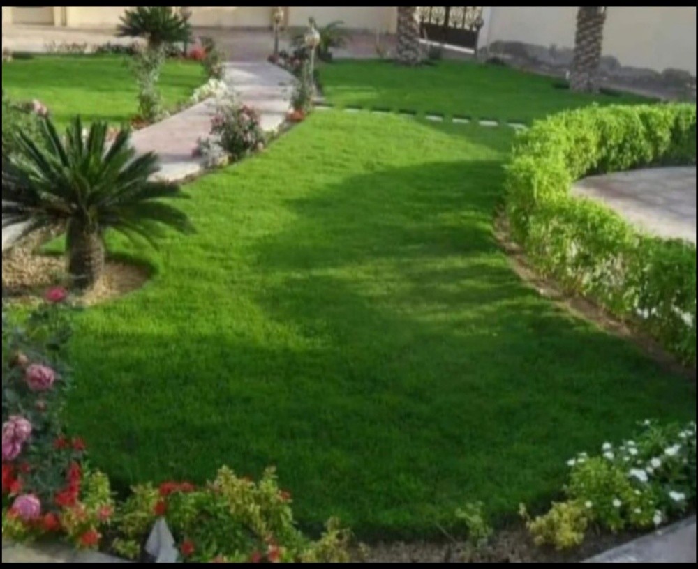 المزارع - 4