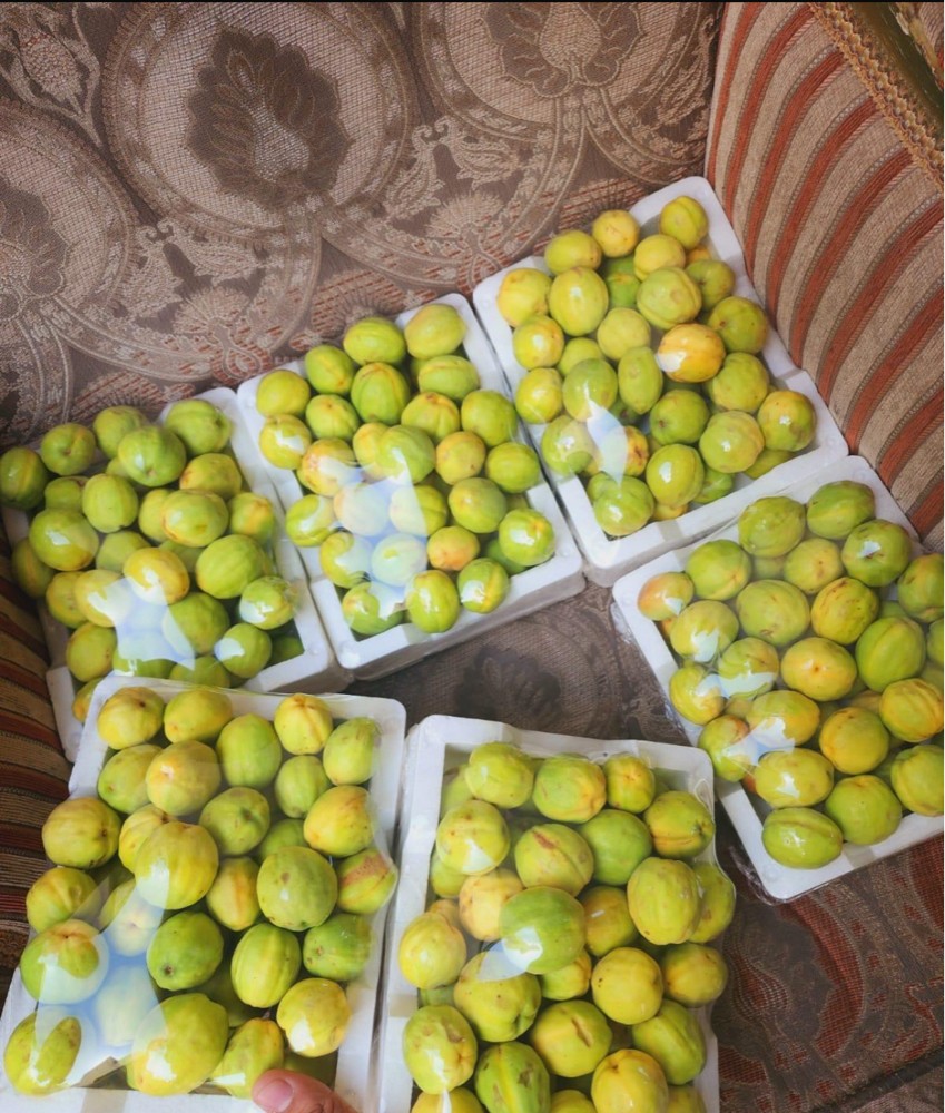رطب ولوز  - 7