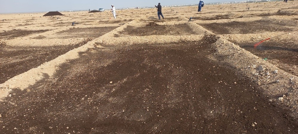 زراعه الجت والخضار - 17