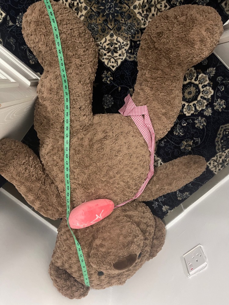 teddy bear - 3