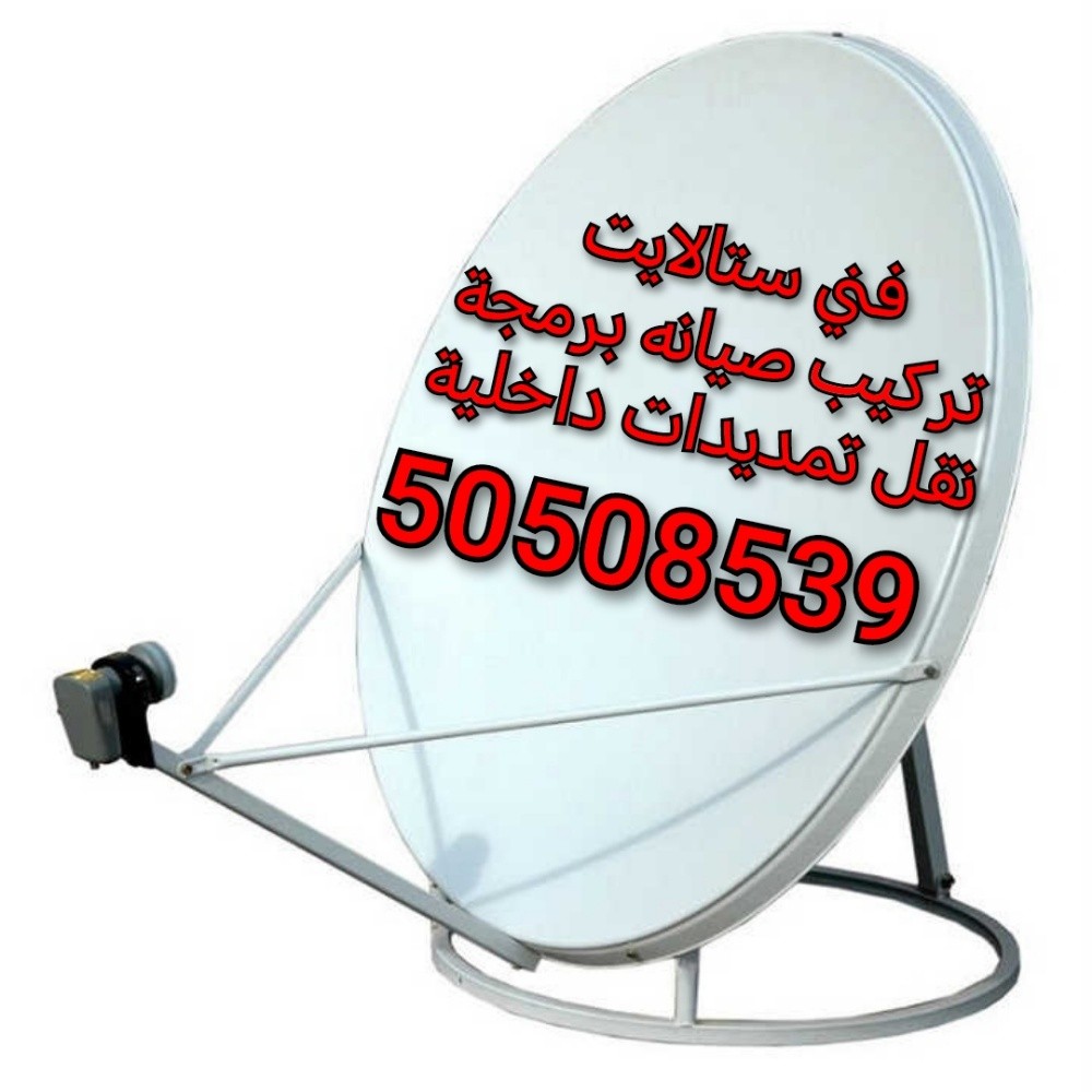 فني ستلايت - 1