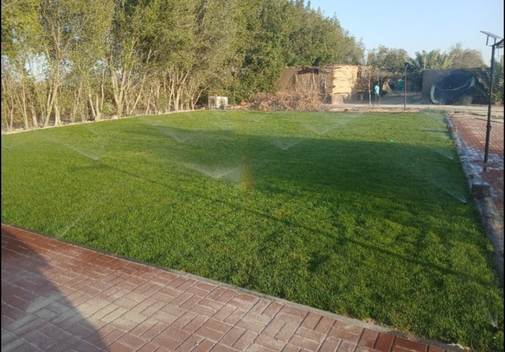 زرعة الحديق - 5