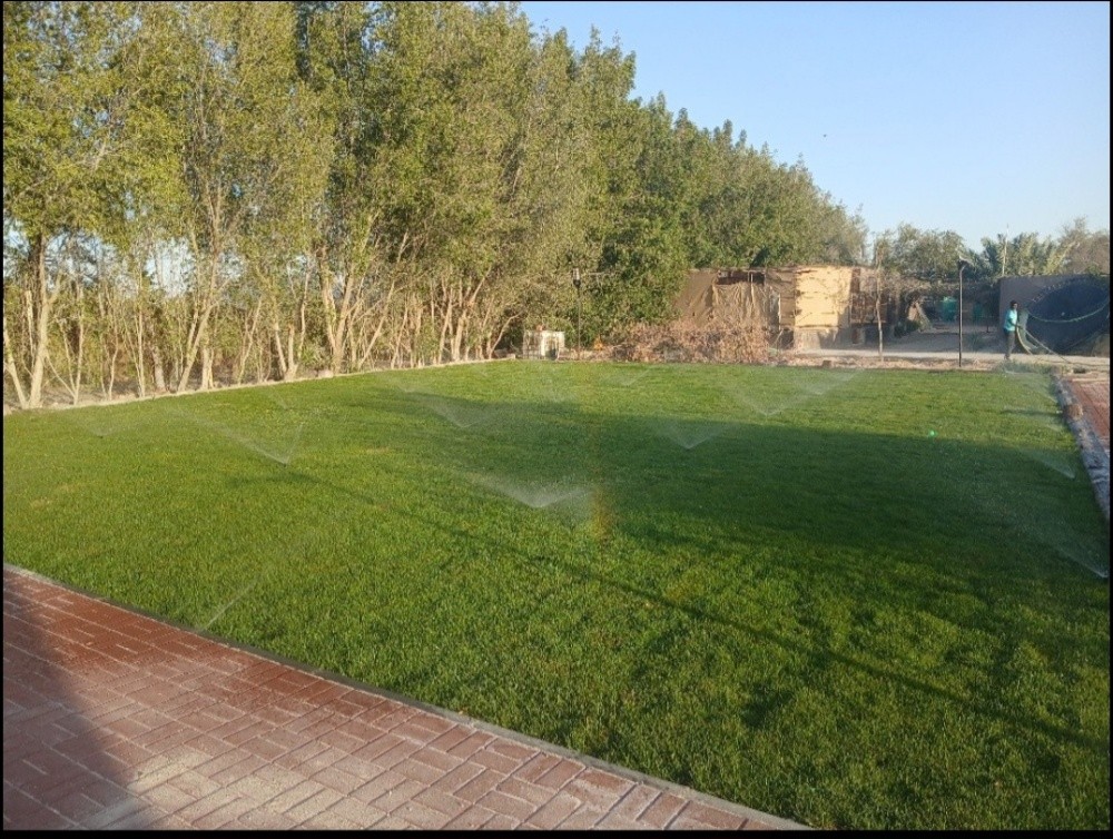 زرعة الحديق - 7