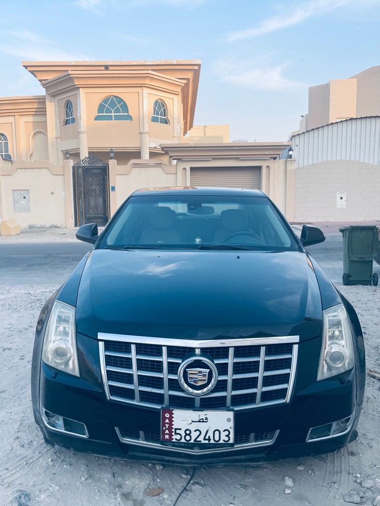 bilel - 1