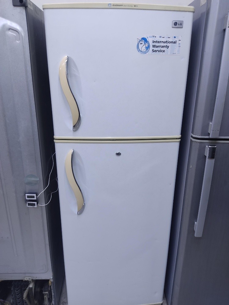 LG medium size Frideg - 1