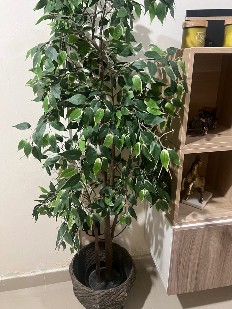 طاولة تلفاز  - 3