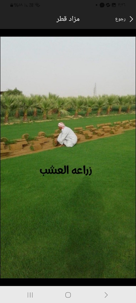 مزراع - 3