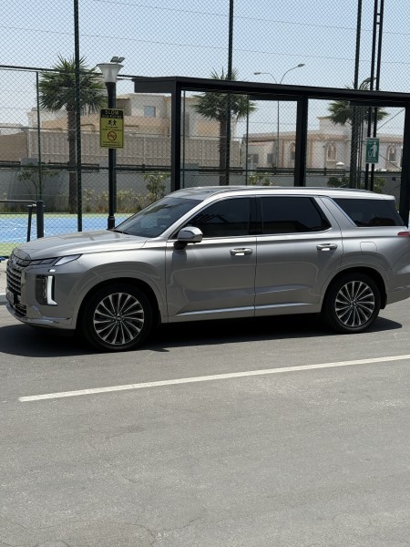 hyundai palisade 2025 - 8