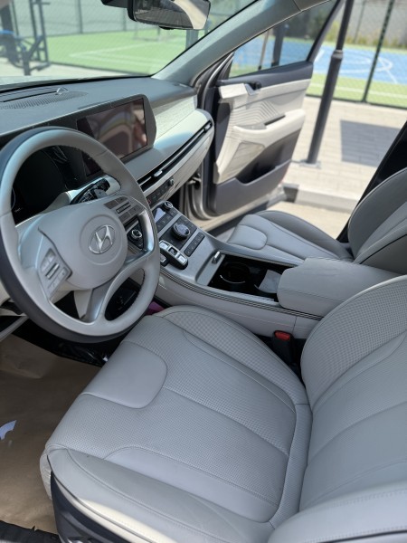 hyundai palisade 2025 - 15