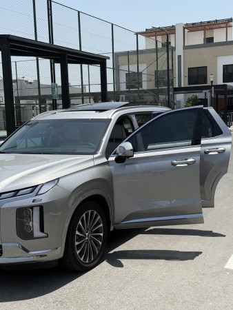 hyundai palisade 2025 - 12