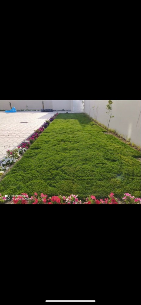 اعمال قص الحشائش - 3