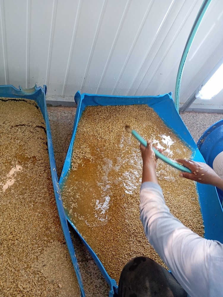 عمل كل ما يخص الهندسه استنبات شعي - 9