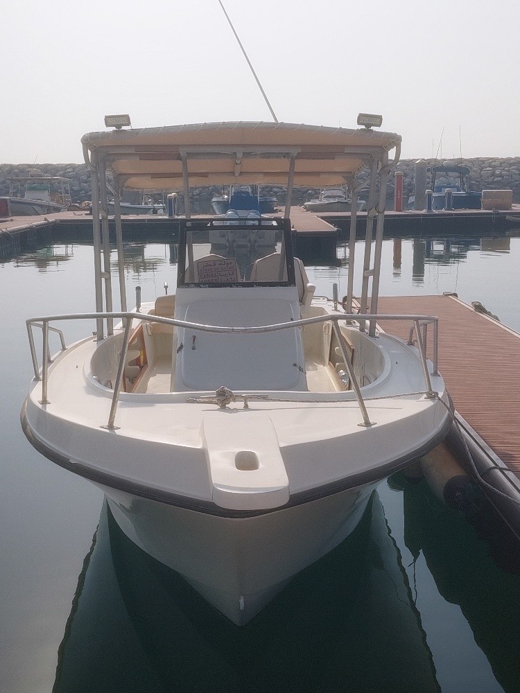 Cruise boat - 1
