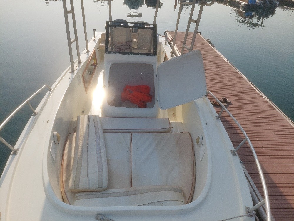 Cruise boat - 2