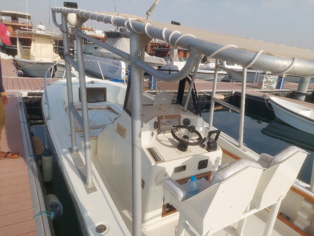 Cruise boat - 3