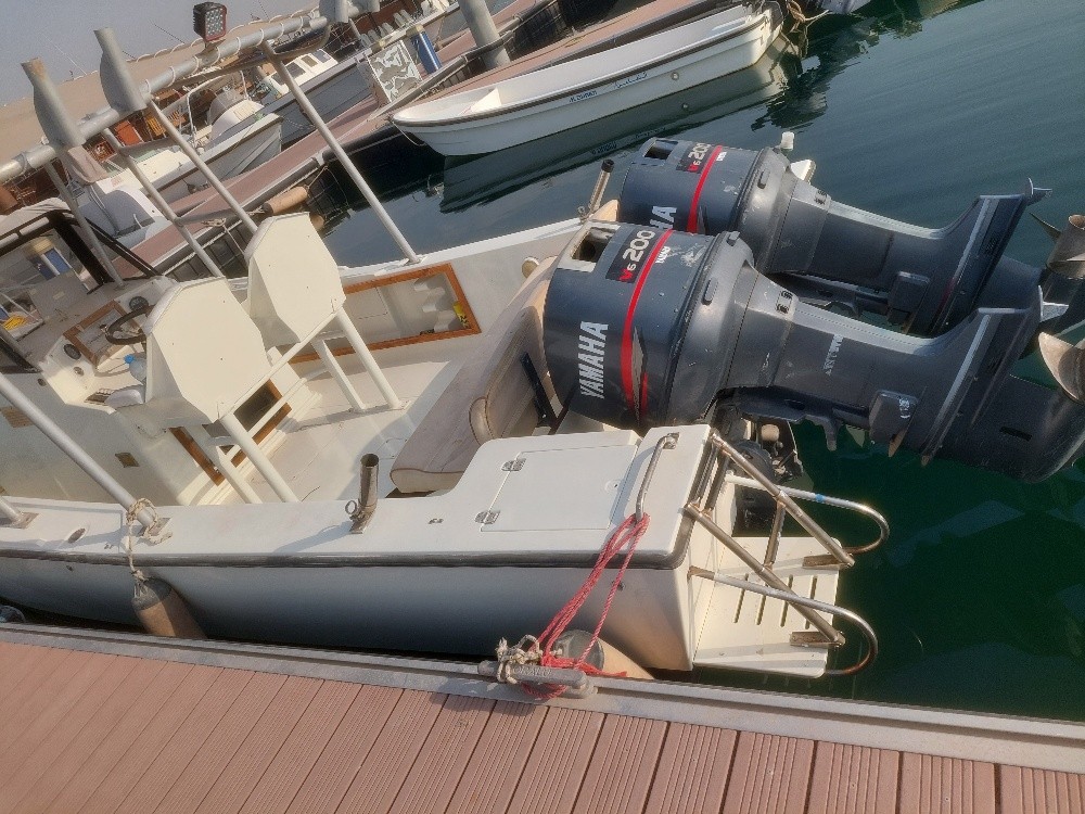 Cruise boat - 4