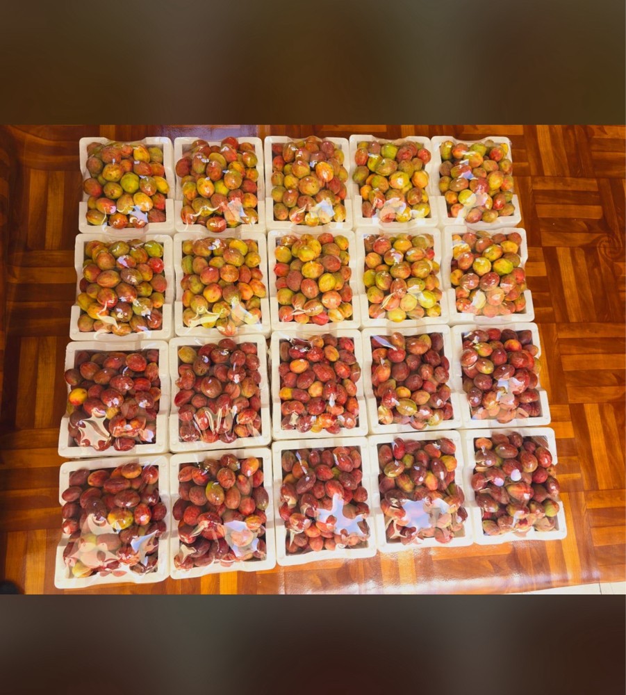 توت لوز ورطب  - 8