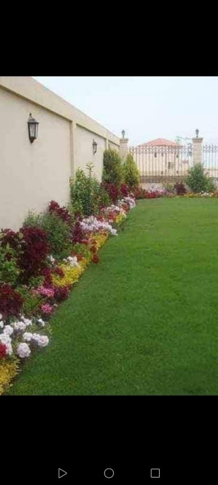 زراعة وتنسيق الحدائق وزراعة - 4