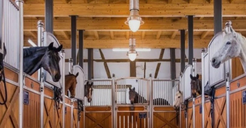 اسطبلات خيل - 3