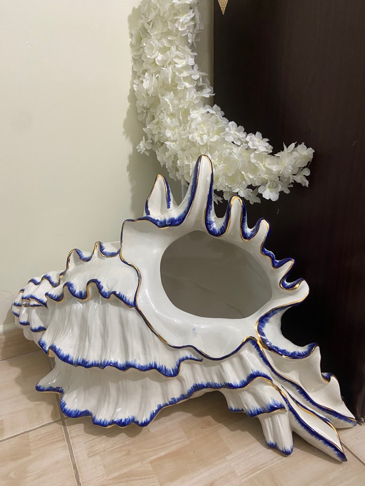صدفة ديكور - 1