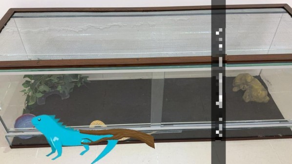 Aquarium Reptiles cage & Terrariu - 8