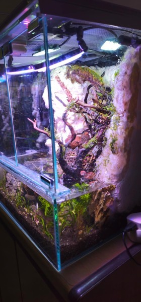 Aquarium Reptiles cage & Terrariu - 14