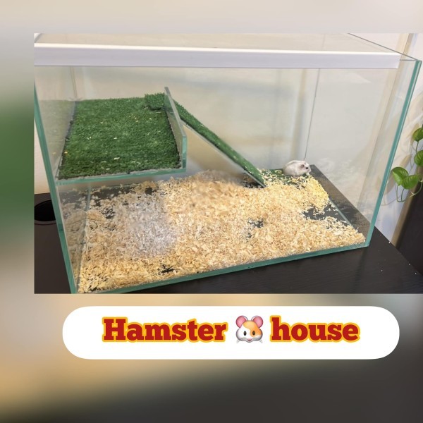 Aquarium Reptiles cage & Terrariu - 4