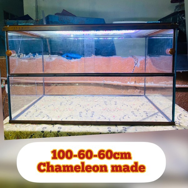 Aquarium Reptiles cage & Terrariu - 16