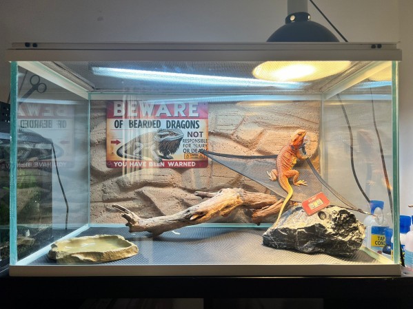Aquarium Reptiles cage & Terrariu - 15